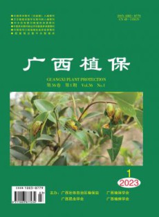 广西植保